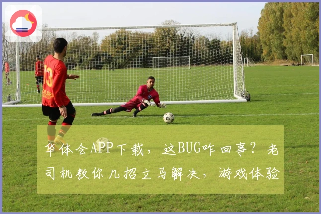 华体会APP下载，这BUG咋回事？老司机教你几招立马解决，游戏体验瞬间起飞！